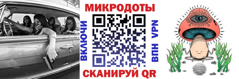Купить закладки Бокситогорск Псилоцибиновые грибы мицелий