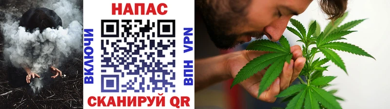 Конопля марихуана  Купить закладки  Бокситогорск 